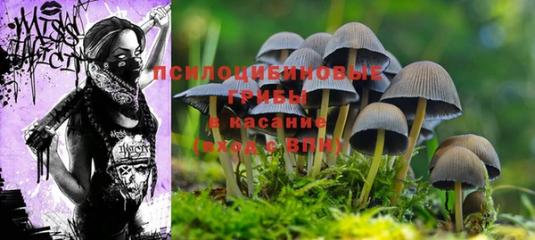 бутират Нязепетровск