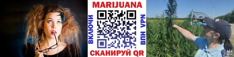 закладки  Хадыженск  Марихуана сатива 